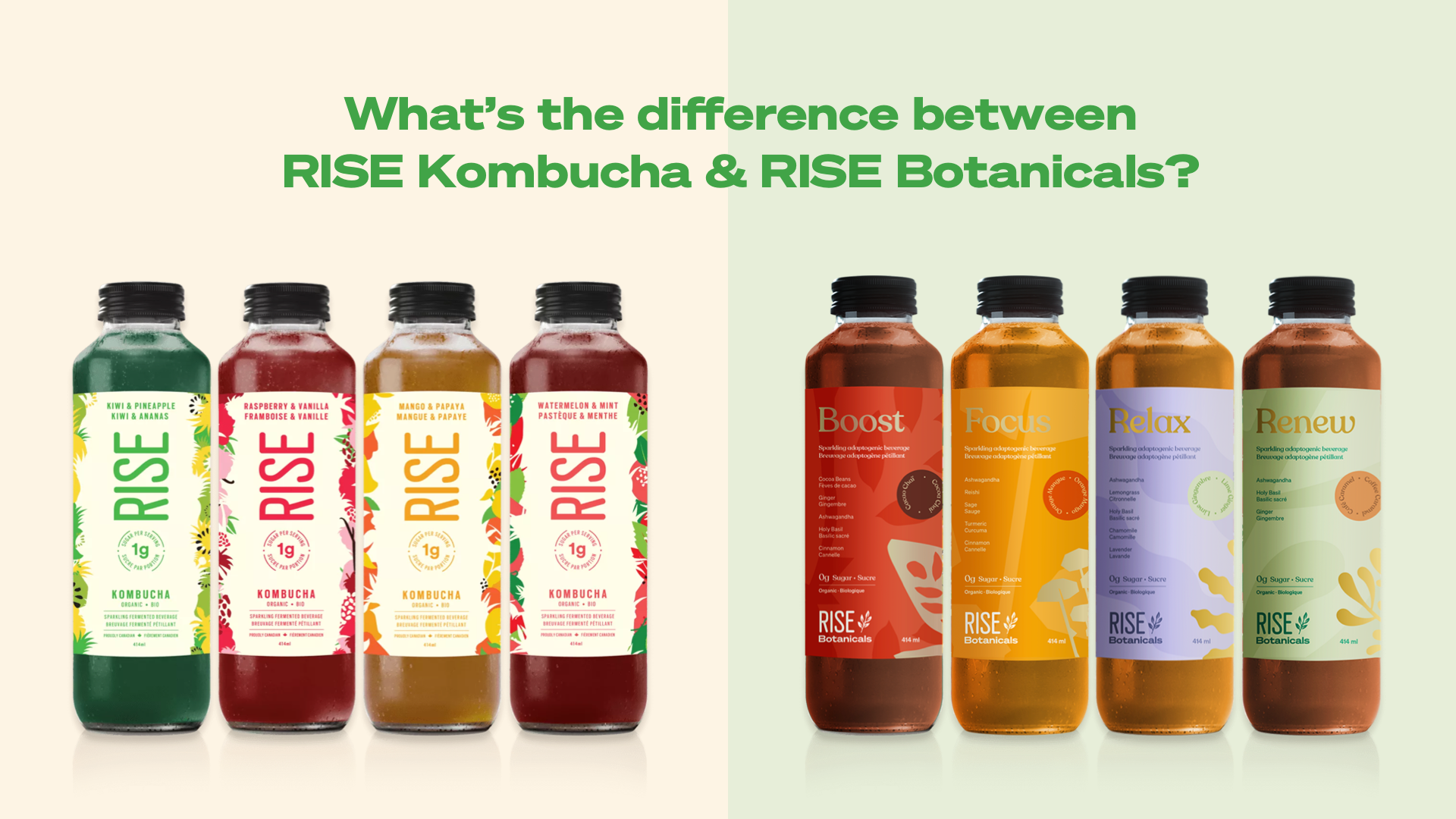 2. What’s the Difference Between RISE Kombucha & RISE Botanicals?