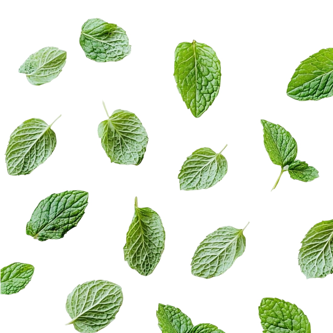 shutterstock_2416726901 1